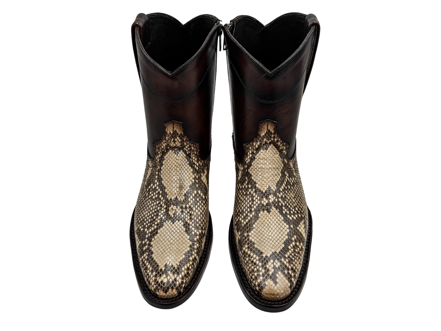BROWN PYTHON CLASSIC