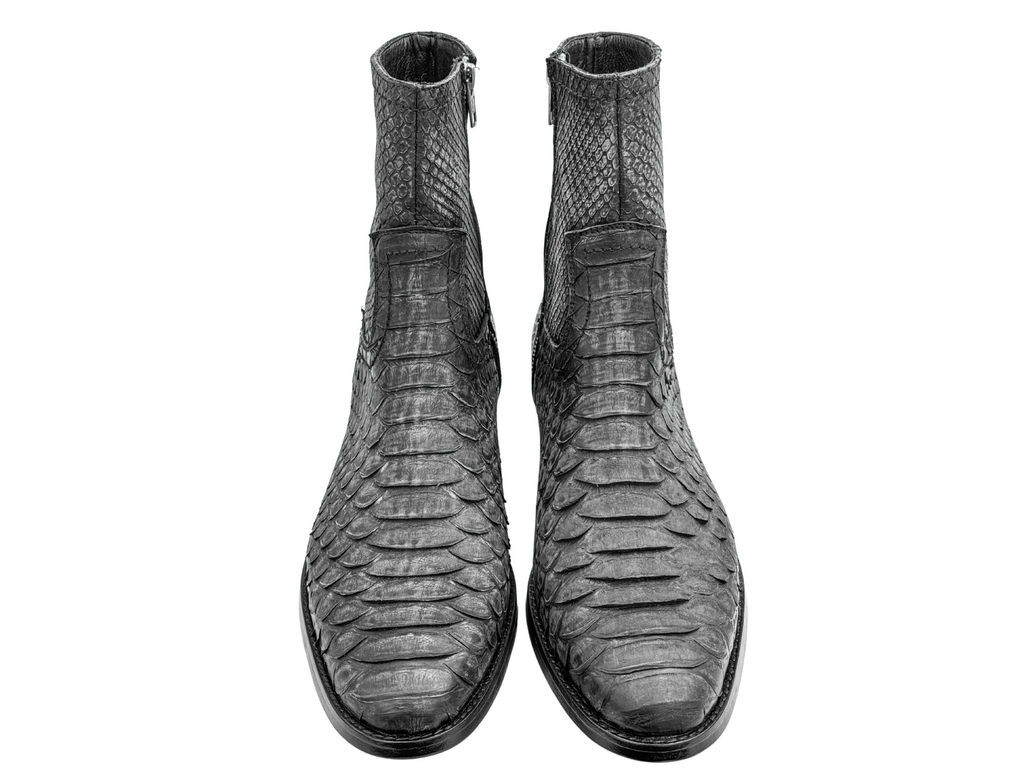 GREY PYTHON
