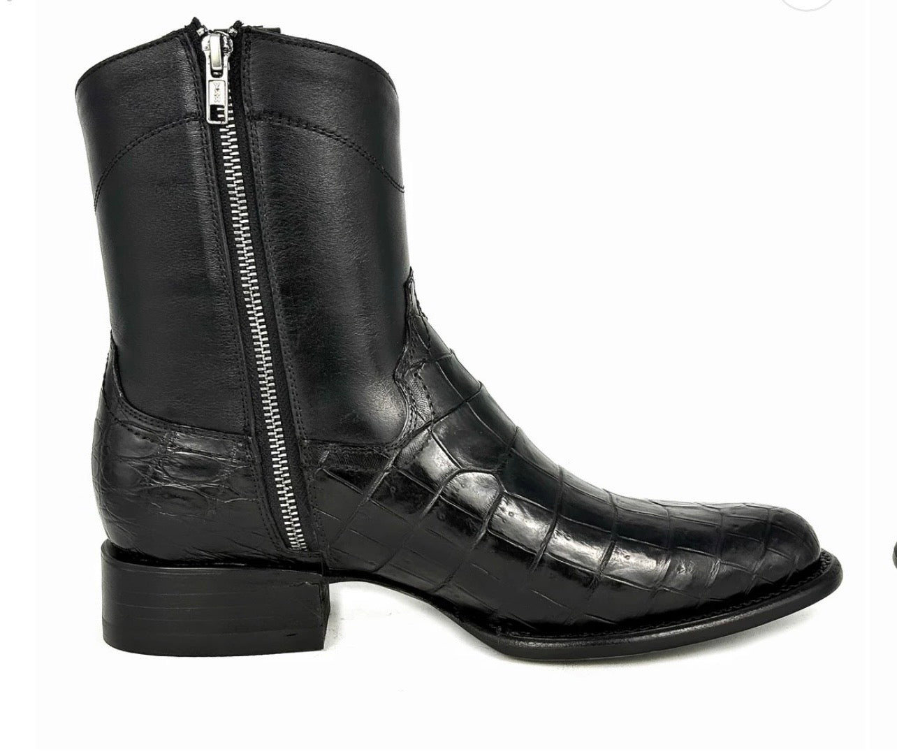 WESTERN COCODRILO MORELETI