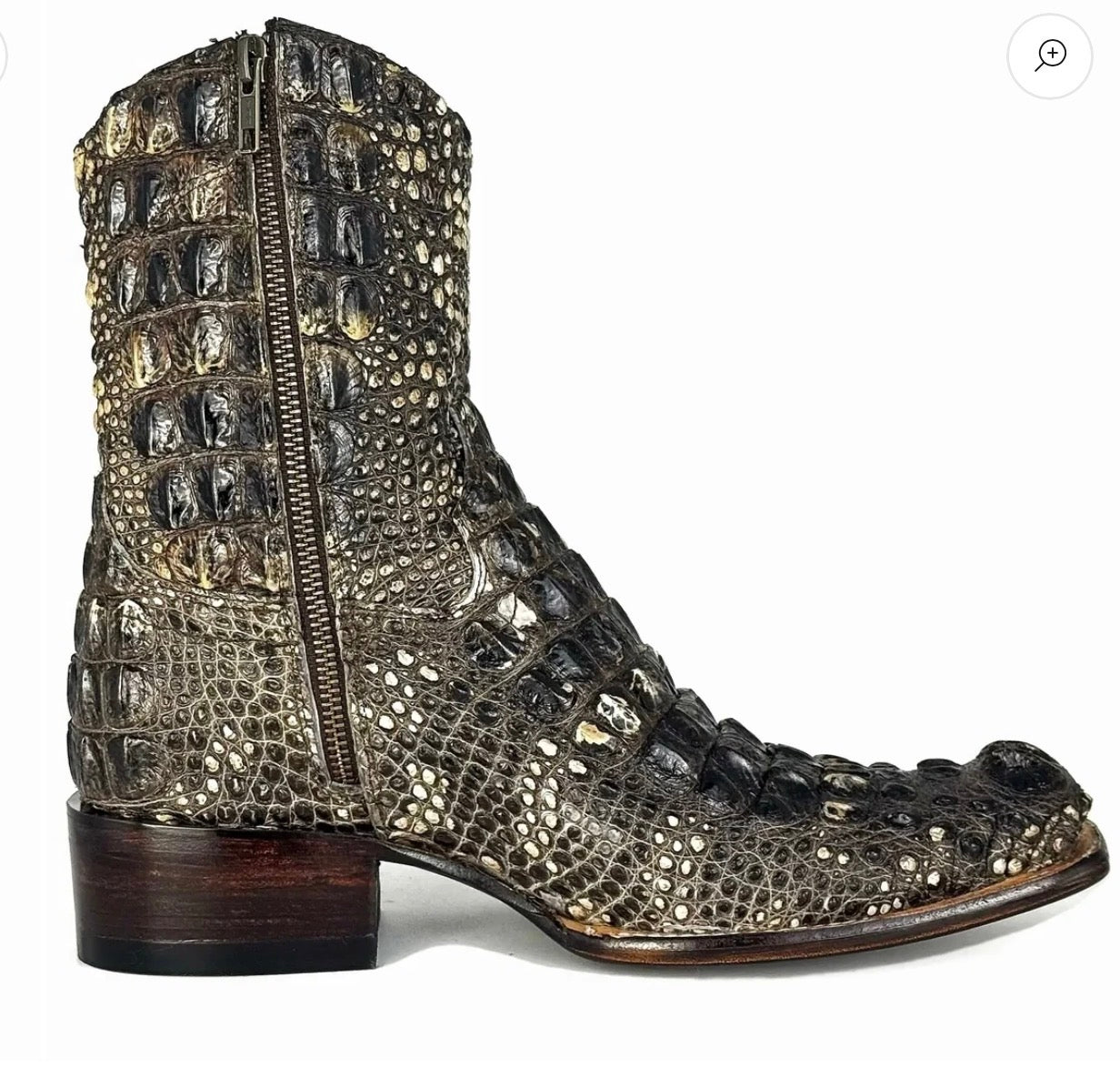 WESTERN NUCA ALLIGATOR (completo)