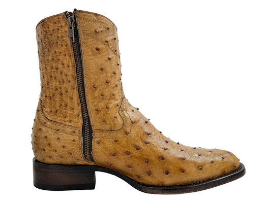 HONEY OSTRICH WESTERN