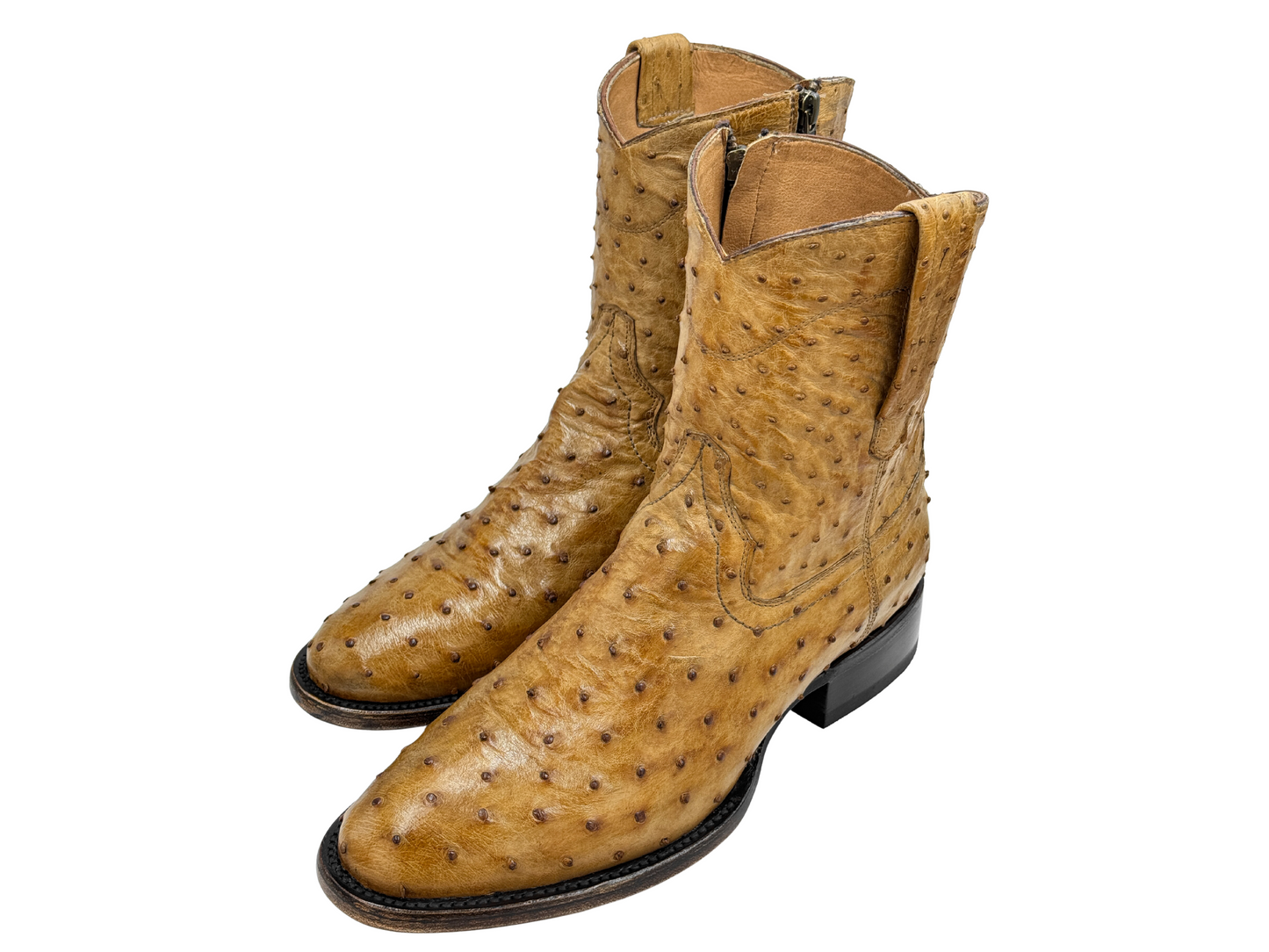 HONEY OSTRICH WESTERN