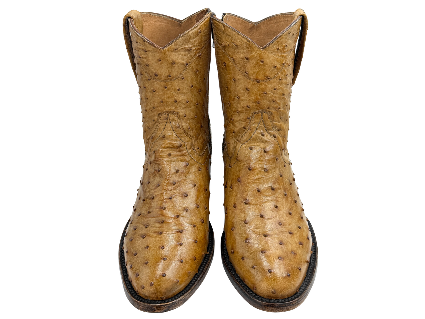 HONEY OSTRICH WESTERN