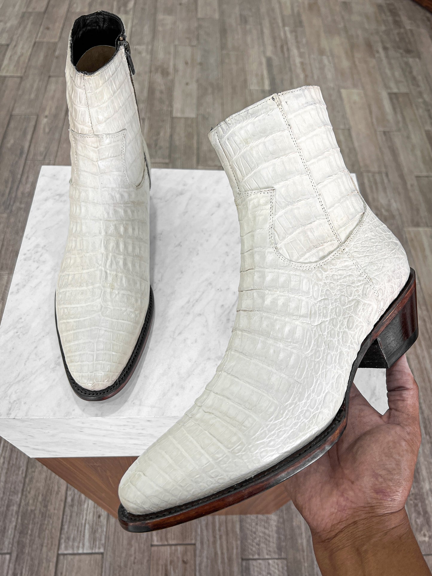 CREAM CROCODILE LISBOA