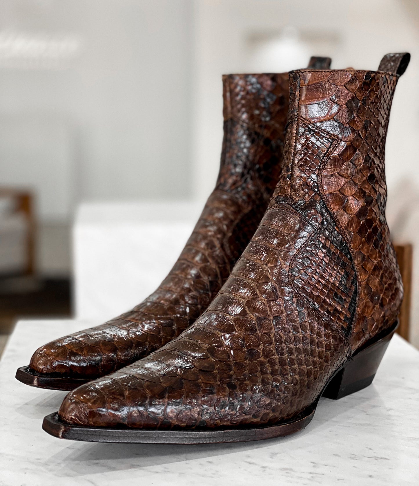 DARK BROWN PYTHON MÁLAGA