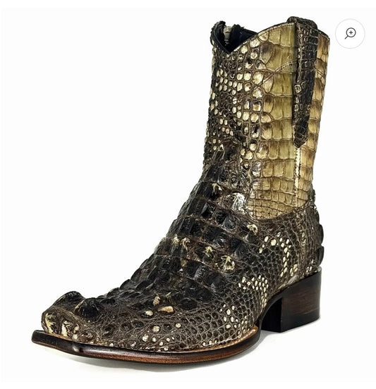 WESTERN NUCA ALLIGATOR (completo)