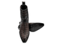 BROWN CROCODILE TEXAS