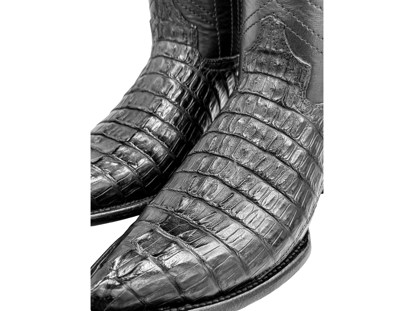 BLACK WESTERN COLA COCODRILO